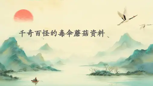 千奇百怪的毒伞蘑菇资料