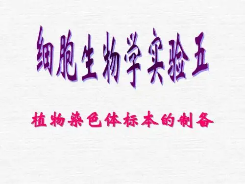植物染色体标本的制备