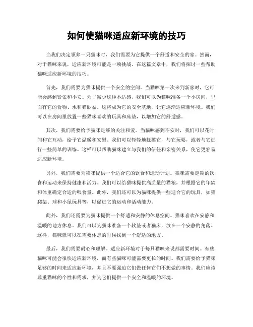 如何使猫咪适应新环境的技巧