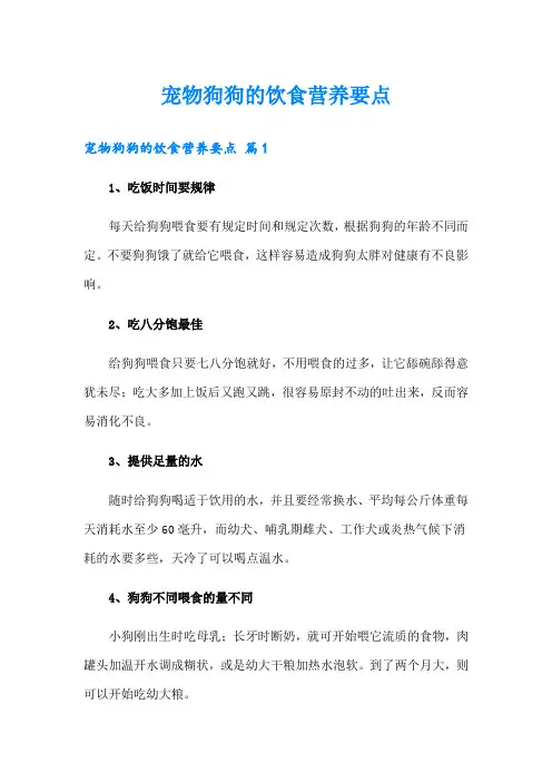 宠物狗狗的饮食营养要点