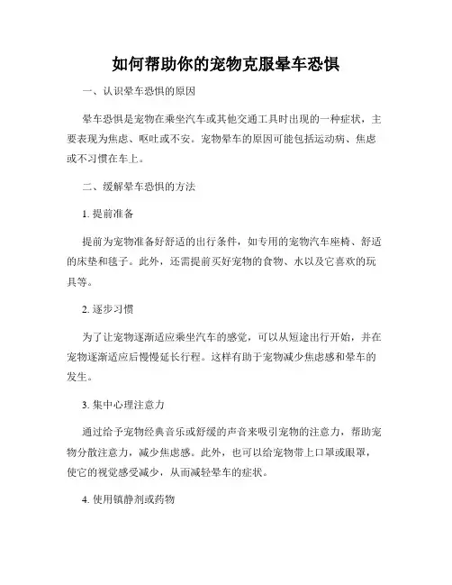 如何帮助你的宠物克服晕车恐惧