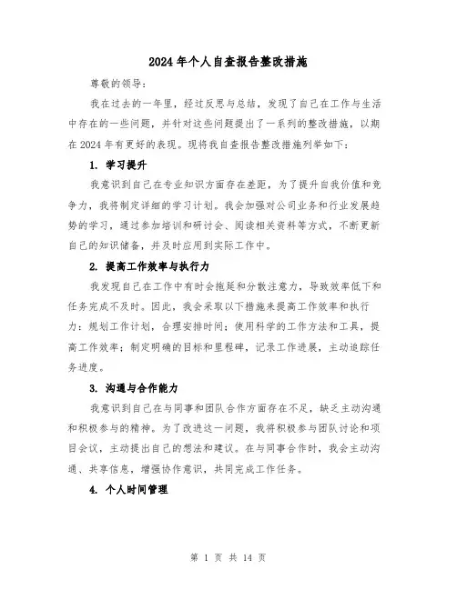 2024年个人自查报告整改措施(3篇)
