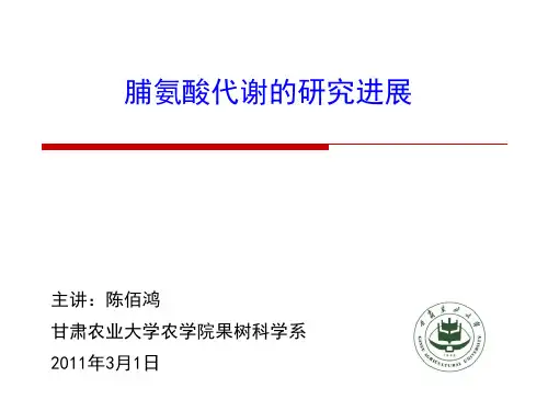 脯氨酸