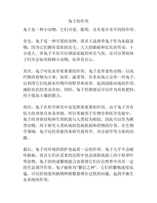 兔子的作用
