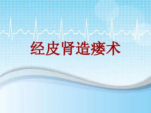 手术讲解模板：经皮肾造瘘术
