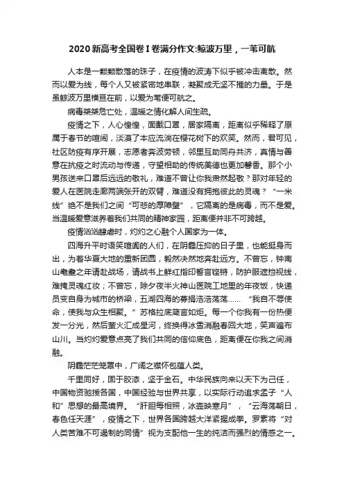2020新高考全国卷I卷满分作文：鲸波万里，一苇可航