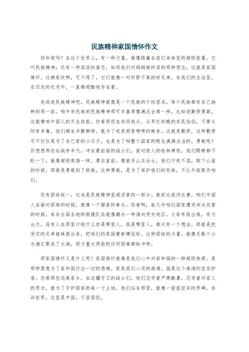 民族精神家国情怀作文