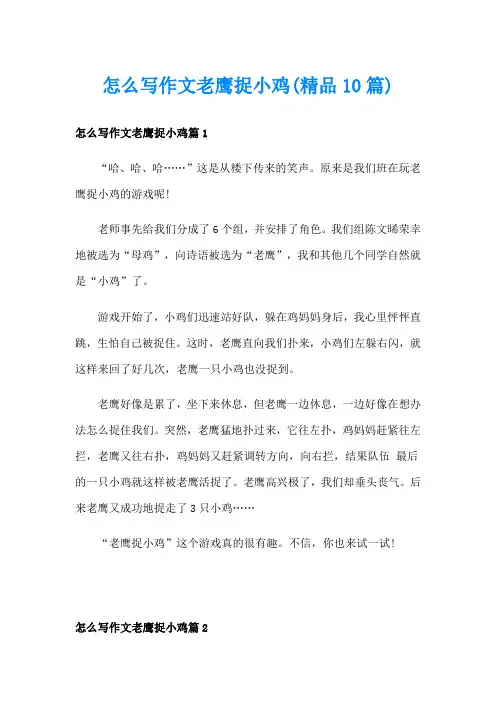 怎么写作文老鹰捉小鸡(精品10篇)