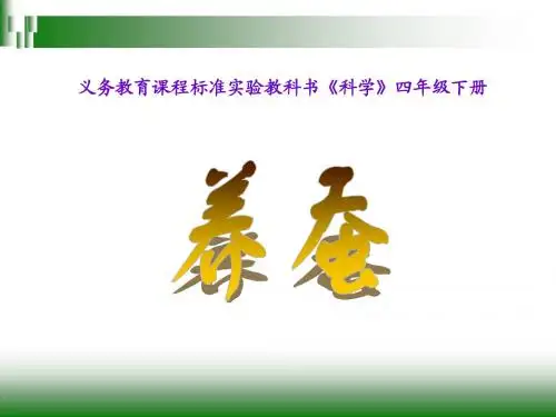 我们来养蚕