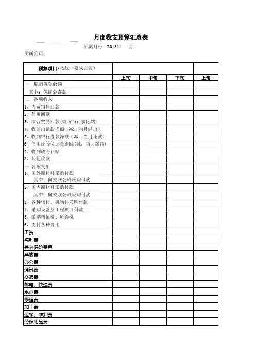公司月度财务收支预算表(汇总用)