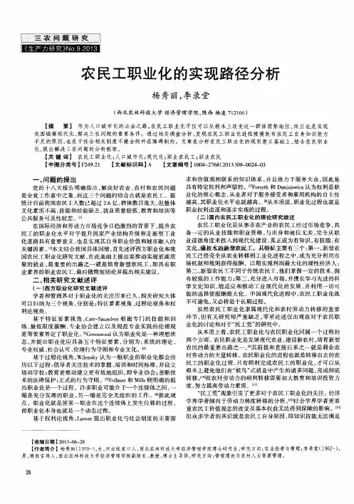 农民工职业化的实现路径分析