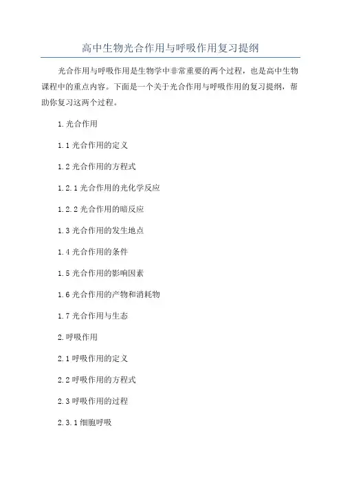 高中生物光合作用与呼吸作用复习提纲