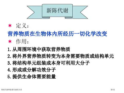 物质代谢和能量代谢的关系