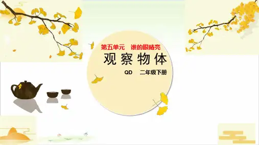 《观察物体》ppt—人教版小学数学观察物体完美课件1