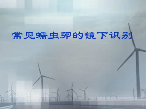 虫卵的鉴定-陈韶红