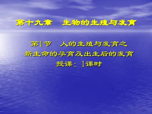 新生命的孕育(教案)