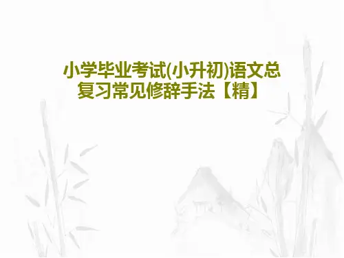 小学毕业考试(小升初)语文总复习常见修辞手法【精】共45页文档