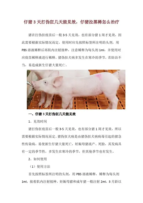仔猪3天打伪狂几天能见效,仔猪拉黑稀怎么治疗