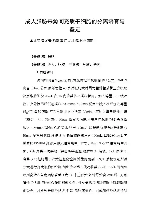 成人脂肪来源间充质干细胞的分离培育与鉴定