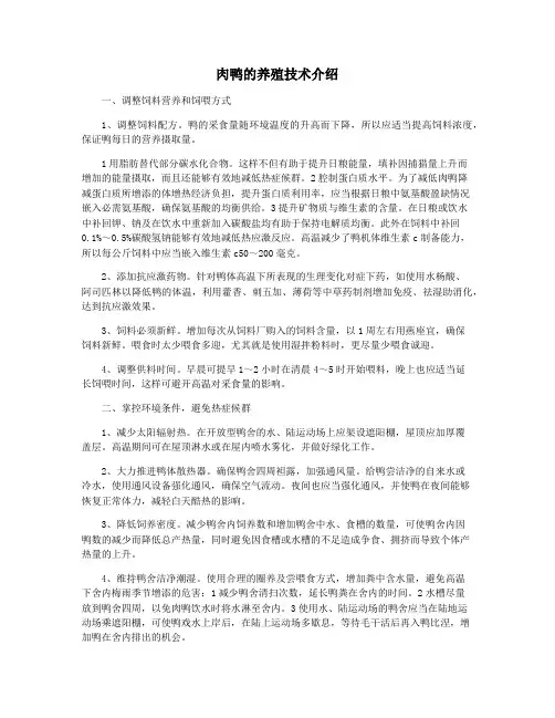 肉鸭的养殖技术介绍
