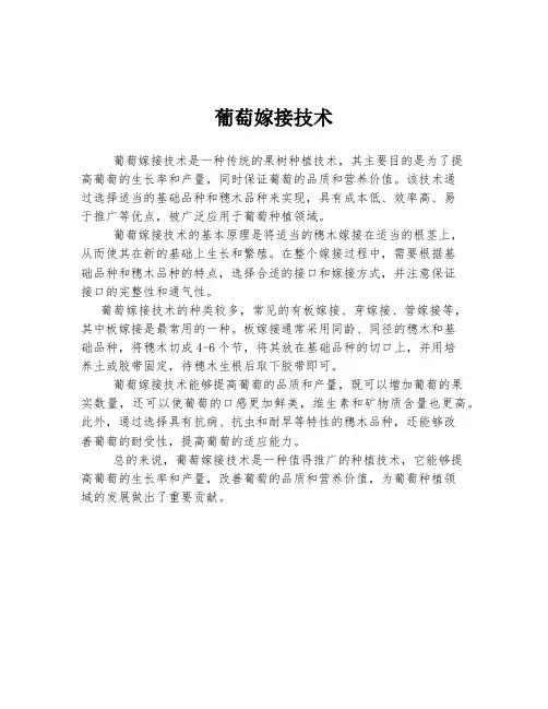 葡萄嫁接技术