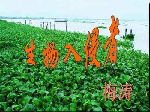 《生物入侵者》课件