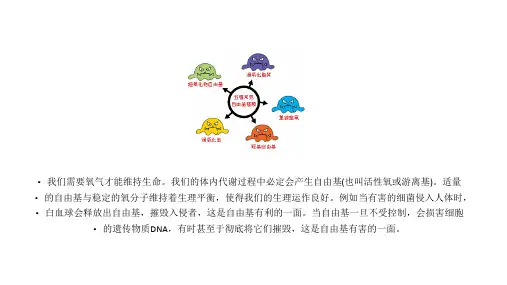自由基的危害PPT课件