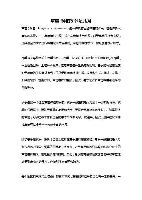 草莓 种植季节是几月