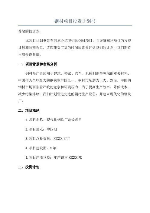 钢材项目投资计划书