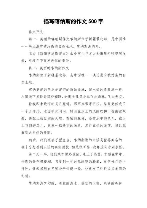 描写喀纳斯的作文500字_作文