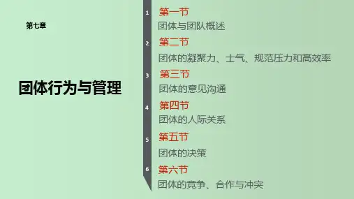 团体行为与管理 管理心理学 教学PPT课件