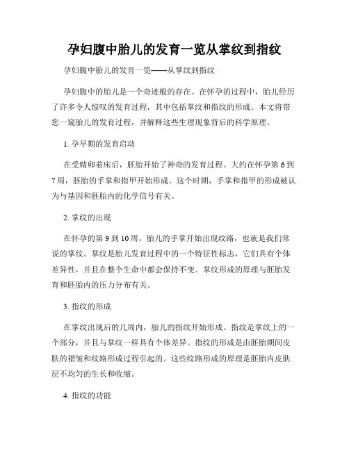孕妇腹中胎儿的发育一览从掌纹到指纹