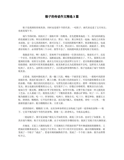 粽子的传说作文精选3篇