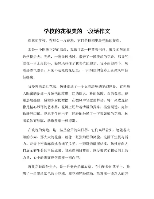 学校的花很美的一段话作文