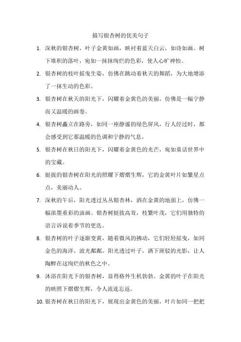 描写银杏树的优美句子