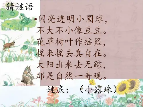 苏教版《小露珠》第二课时