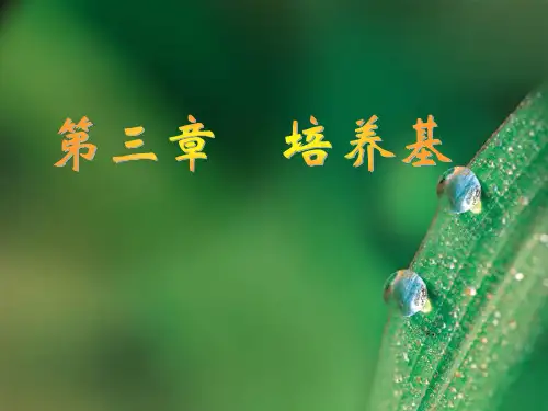 发酵学 第3章 培养基