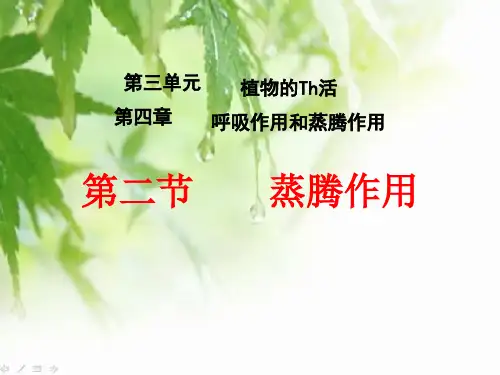 6蒸腾作用 课件.ppt