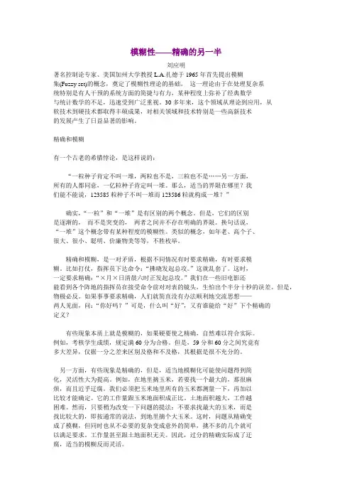 模糊性——精确的另一半