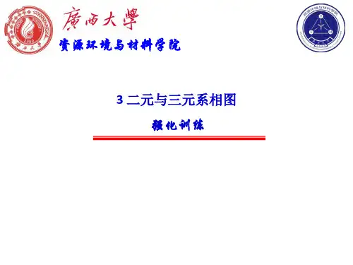 3 二元与三元系相图  强化训练