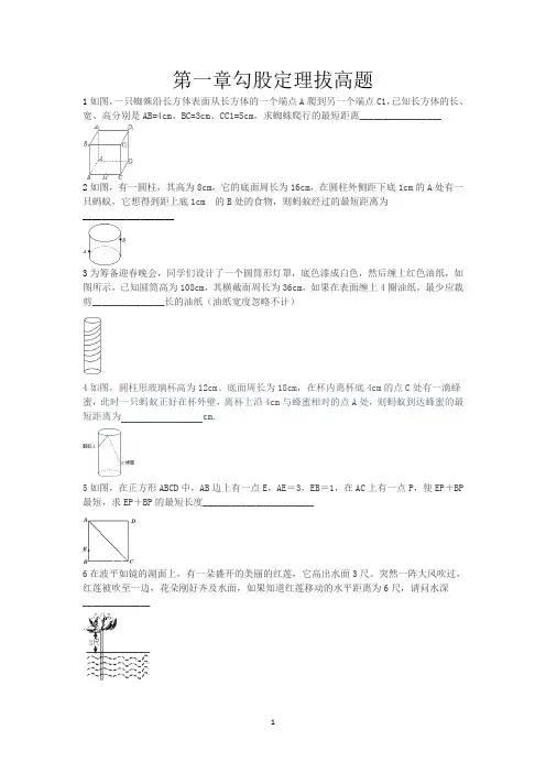 第一章勾股定理拔高题