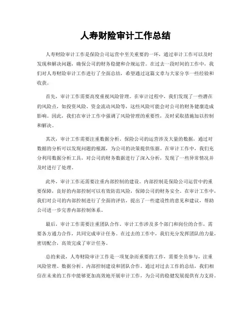 人寿财险审计工作总结