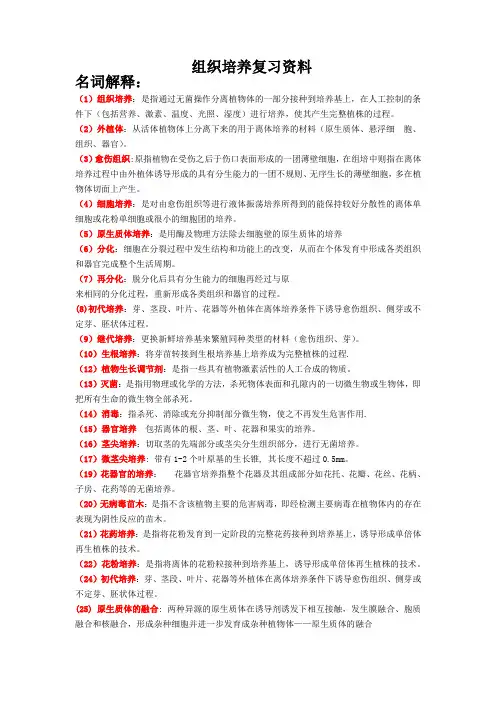 名词解释