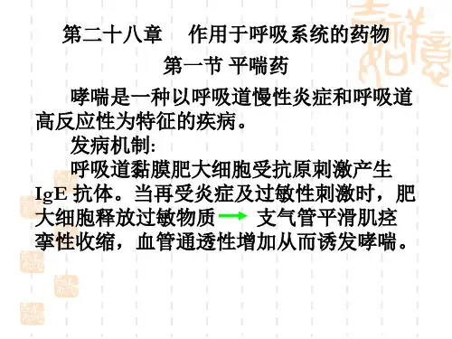 第28呼吸系统药物