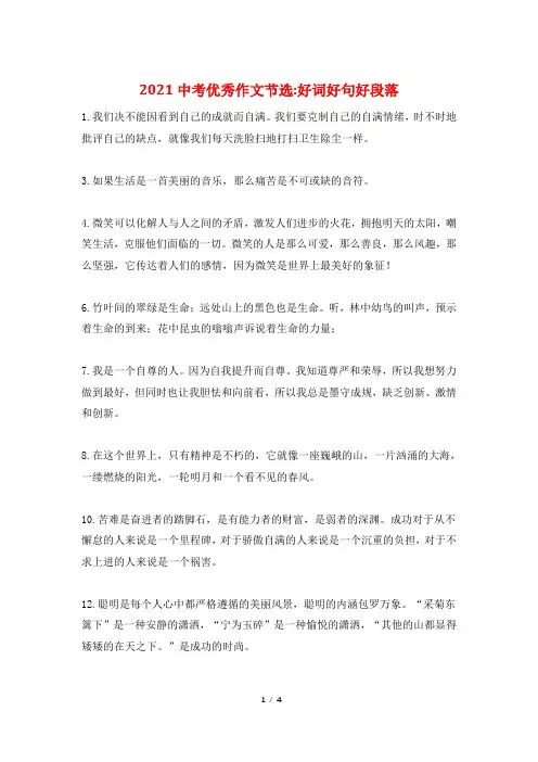 2021中考优秀作文节选-好词好句好段落