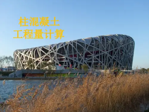 柱混凝土工程量计算 .ppt1