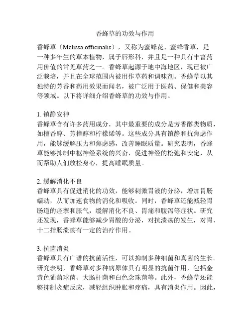 香蜂草的功效与作用