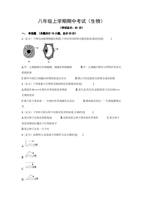 八年级上学期期中考试(生物)试卷含答案