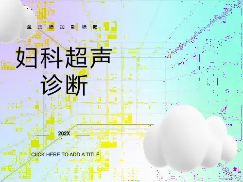 妇科B超课件