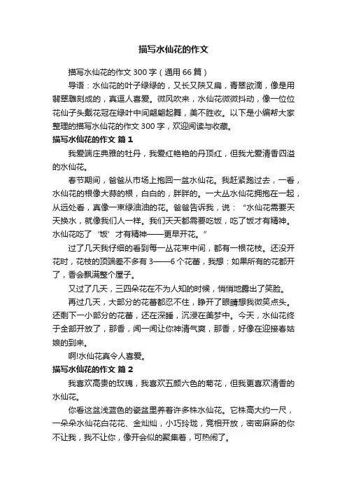 描写水仙花的作文300字（通用66篇）